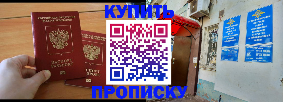 прописка штамп в Михайловске